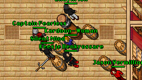 Kardoon-Woman on screen