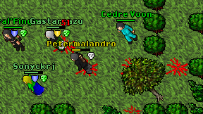 Petermalandro on screen