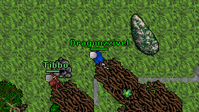 Dragonzzivel on screen