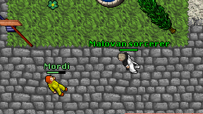 Malovan sorcerer on screen
