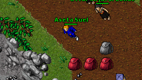 Aseta Suel on screen