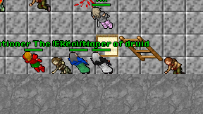 Executioner of druid on screen