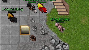 Eho Kraio on screen