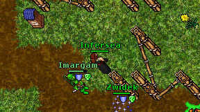 Infersea on screen