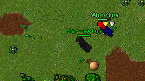 Mar-kytus on screen