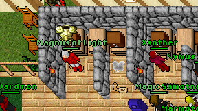 Magnus of Light on screen