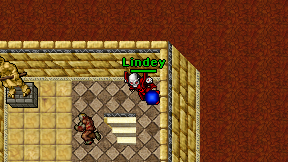 Lindey on screen