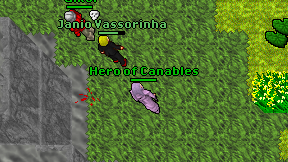 Hero of Canables on screen