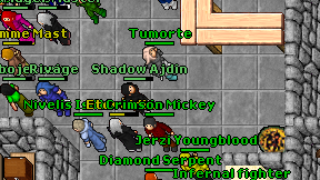 Shadow Ajdin on screen