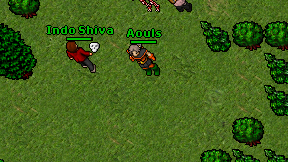 Aouls on screen