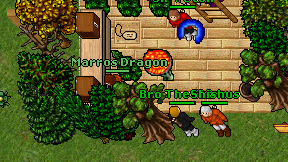 Marros Dragon on screen