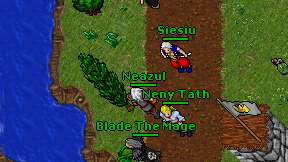Neazul on screen