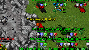 Maximos'Ruler on screen