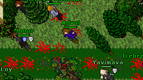 Adval on screen