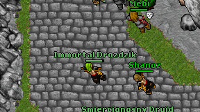 Immortal Drozdzik on screen