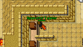 Spyritts'Taylor on screen