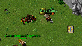 Amairany on screen