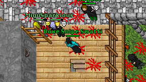Boxe Snipe Swatti on screen