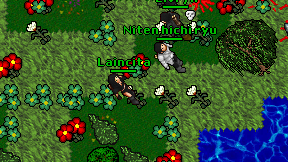 Laincita on screen