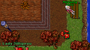 Mivona on screen