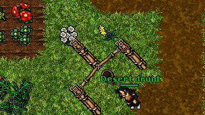Desert druid on screen