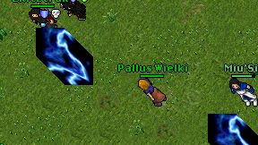 Pallus Wielki on screen