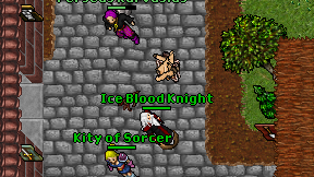 Ice Blood Knight on screen