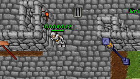 Gnomocz on screen