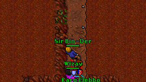 Sir Bin-Der on screen