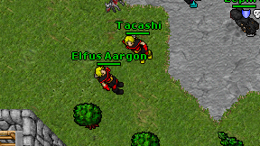 Elfus Aargon on screen