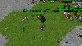 Chester the Wizard on screen