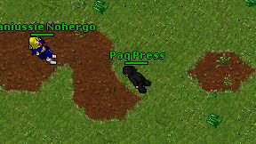 Paq Press on screen