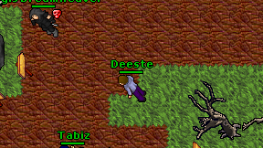Deeste on screen