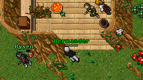Bermander on screen