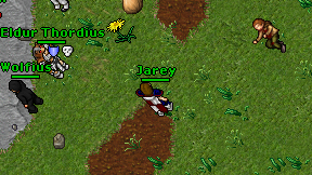 Jarey on screen