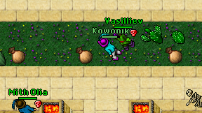 Kowonik on screen
