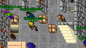 Eizo Druid on screen