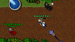 Vaislitter on screen
