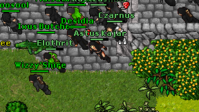 Astus Kajar on screen