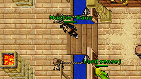 Master-Kauz on screen