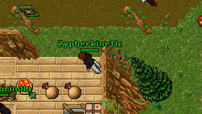 Zypherkinetic on screen