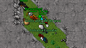 Licle on screen