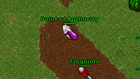 Point of Authority on screen