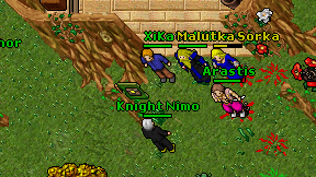 Knight Nimo on screen