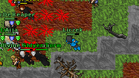 Liczek on screen