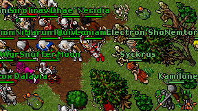 Kamilone on screen