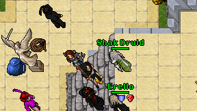 Shak Druid on screen