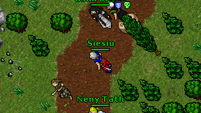 Siesiu on screen