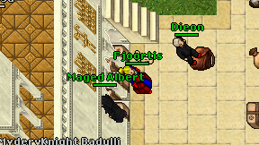 Fjoortis on screen