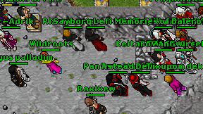 Wildroots on screen
